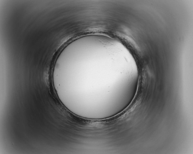 X0000095941162200801251104