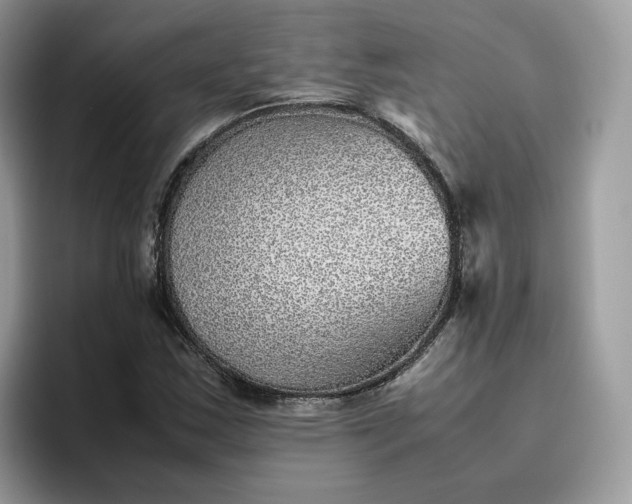 X0000095941163200801251104