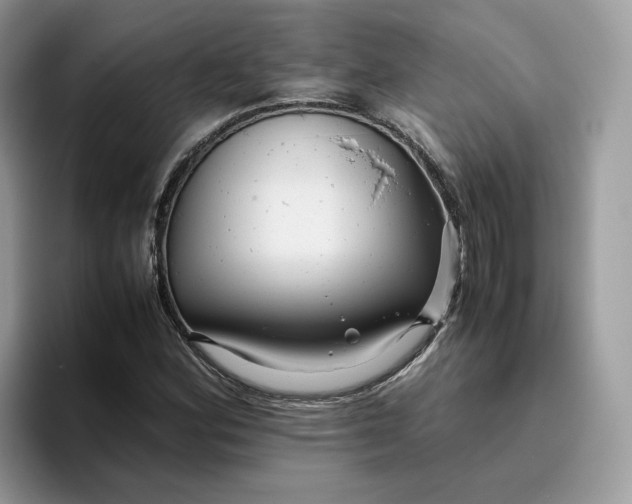 X0000095941164200801251104