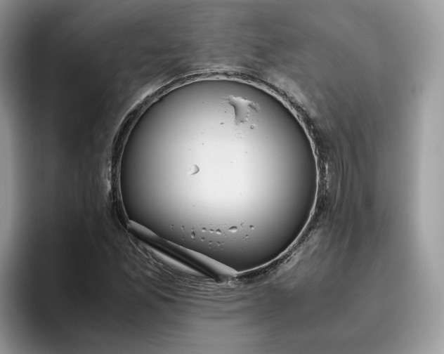 X0000095941165200801251104