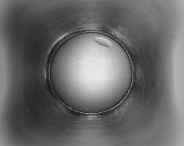 X0000095941166200801251104
