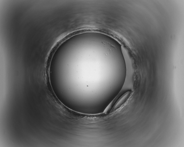 X0000095941168200801251104