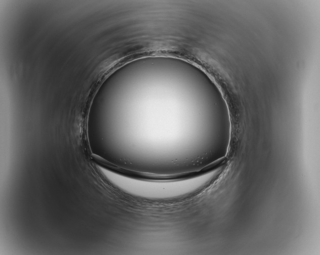 X0000095941169200801251104