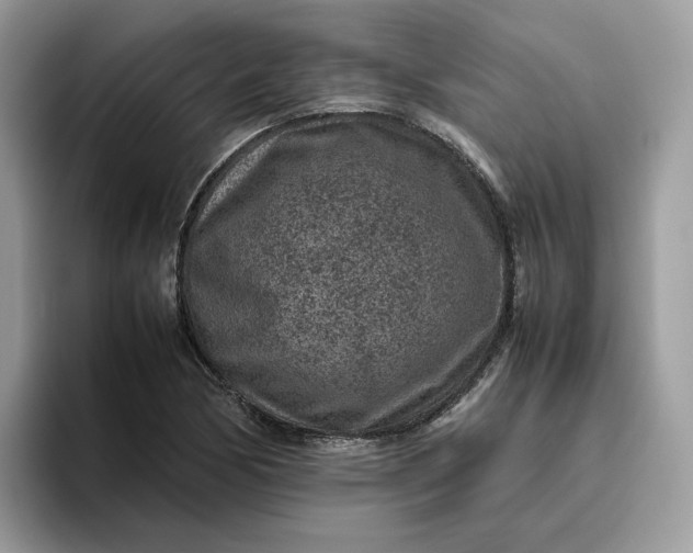 X0000095941170200801251104