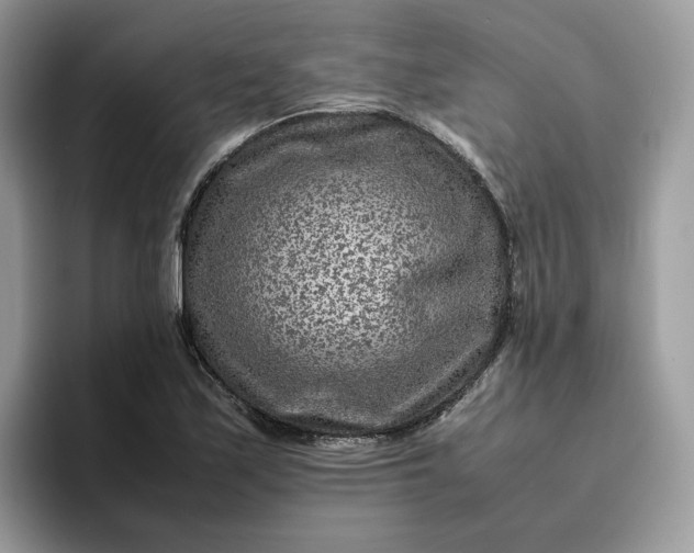 X0000095941171200801251104