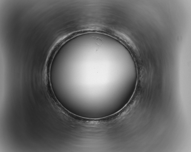 X0000095941172200801251104