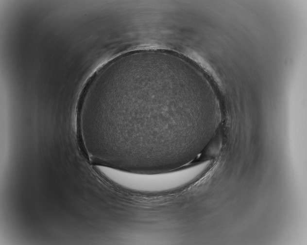 X0000095941173200801251104