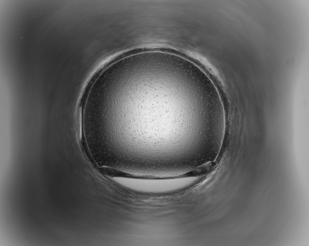 X0000095941175200801251104