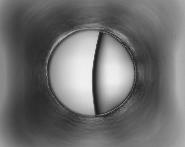 X0000095941176200801251104