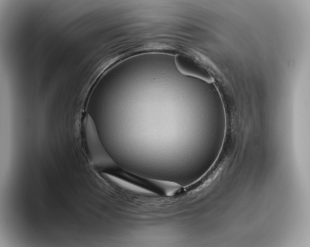X0000095941177200801251104