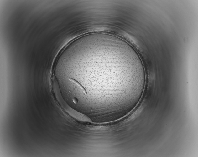 X0000095941178200801251104
