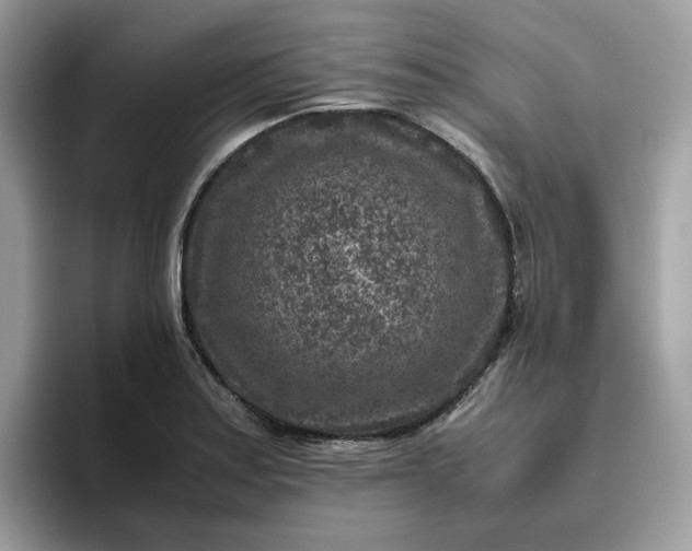 X0000095941179200801251104