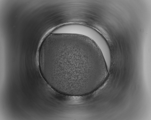 X0000095941180200801251104