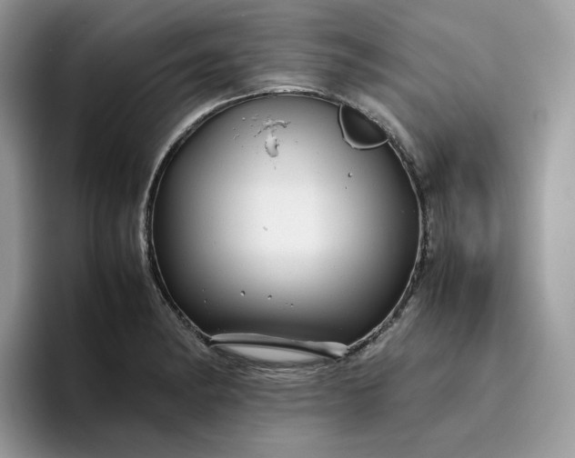 X0000095941182200801251104