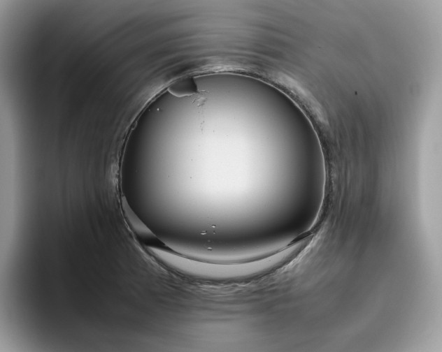 X0000095941185200801251104