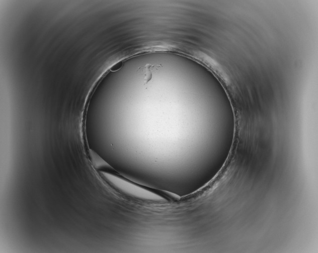 X0000095941186200801251104