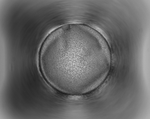 X0000095941187200801251104