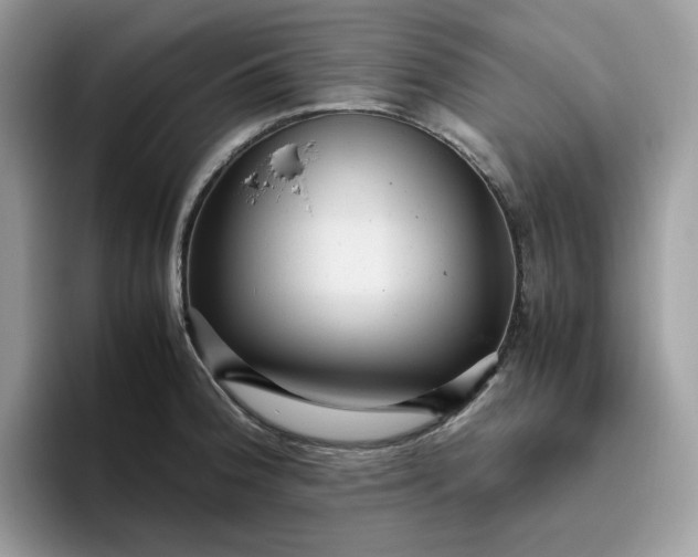 X0000095941188200801251104
