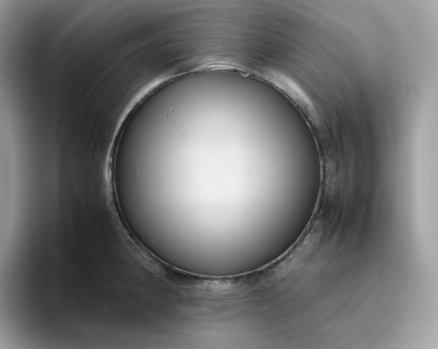 X0000095941190200801251104
