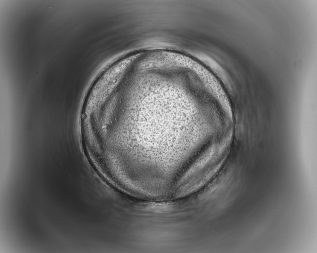 X0000095941191200801251104