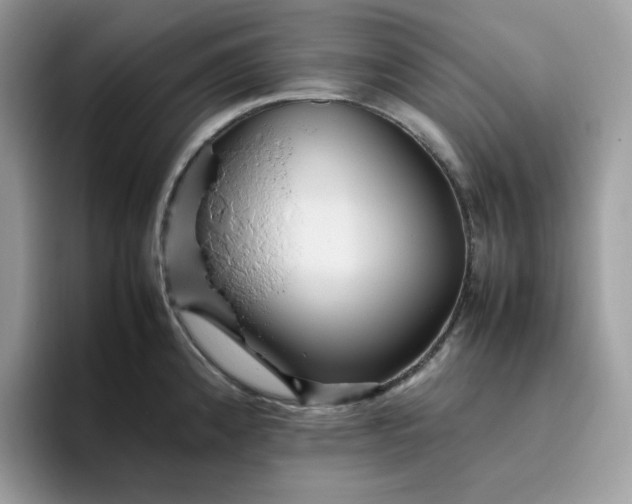 X0000095941192200801251104