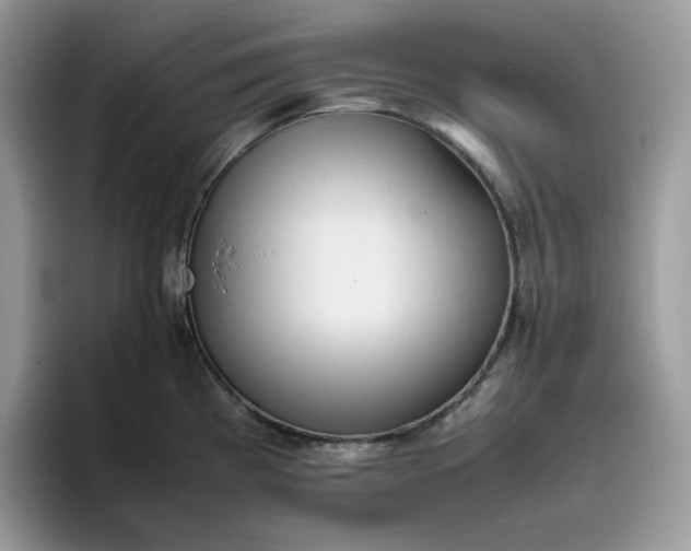 X0000095941193200801251104