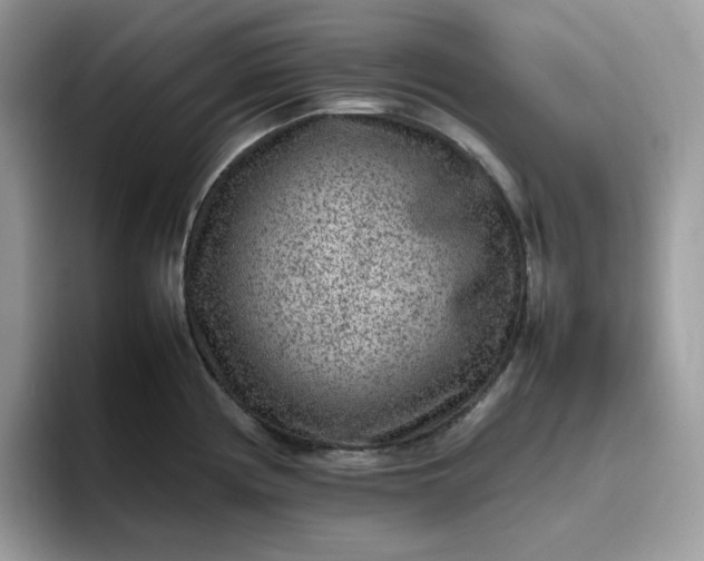 X0000095941194200801251104
