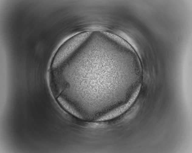 X0000095941195200801251104