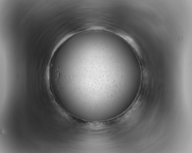 X0000095941198200801251104