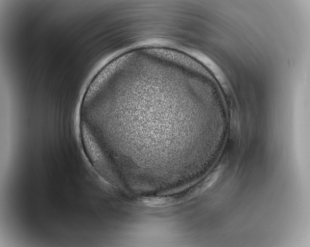 X0000095941199200801251104