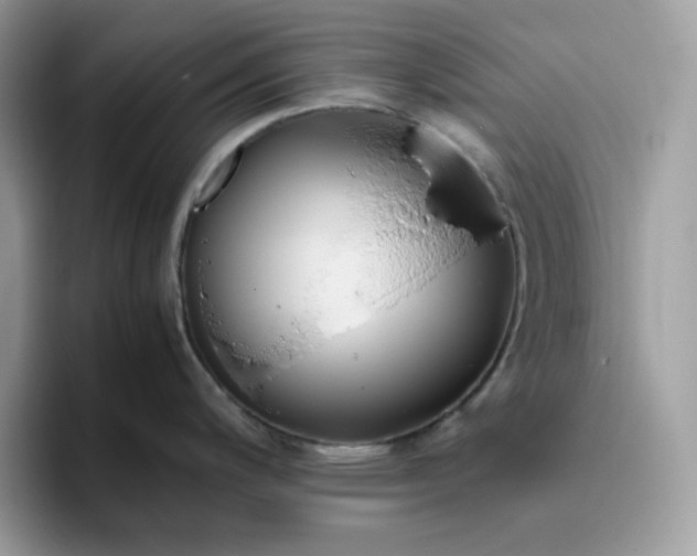 X0000095941200200801251104
