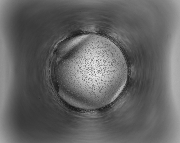 X0000095941201200801251103