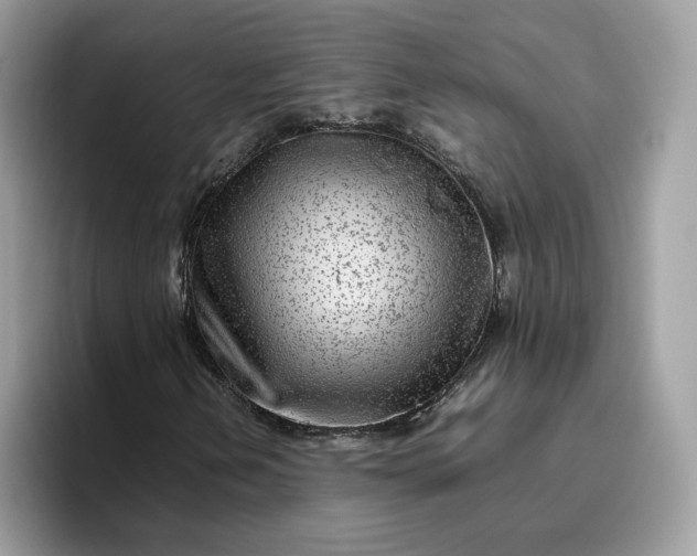 X0000095941202200801251103
