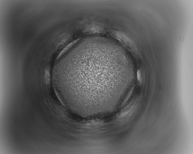 X0000095941203200801251103