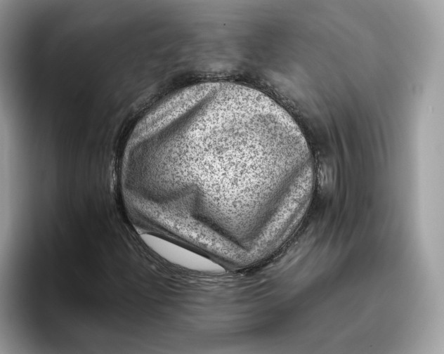 X0000095941204200801251103