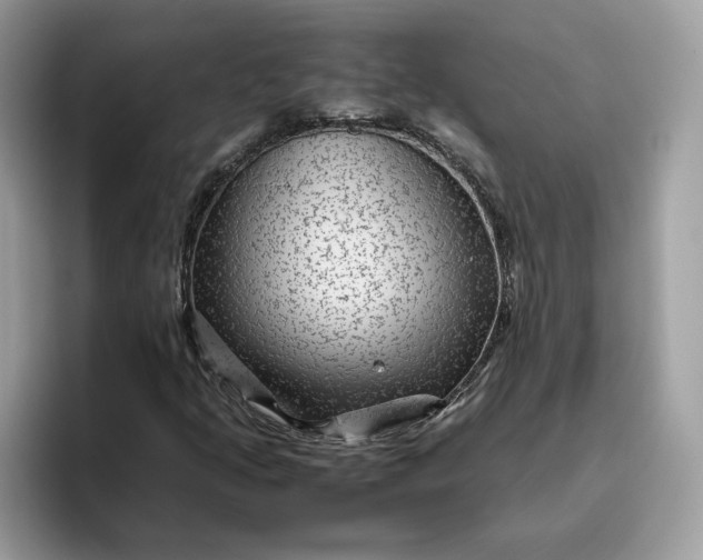 X0000095941205200801251103