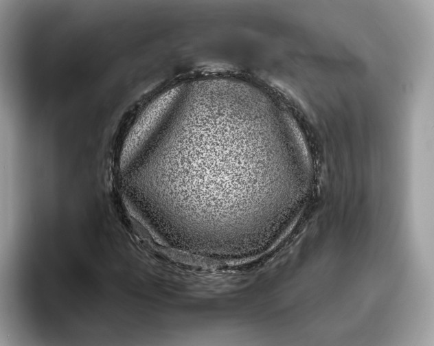 X0000095941207200801251103
