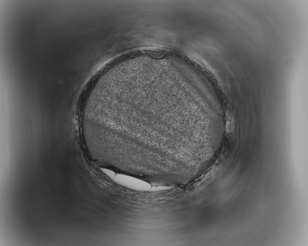 X0000095941208200801251103
