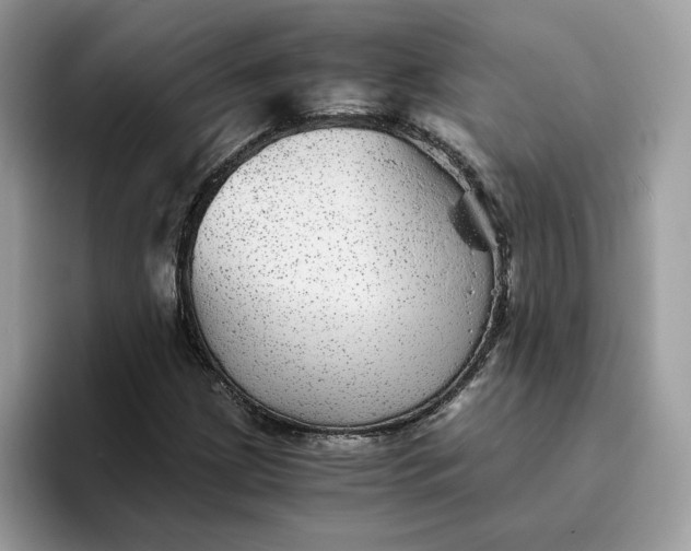 X0000095941209200801251103