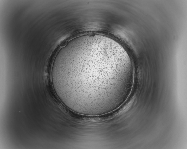 X0000095941210200801251103