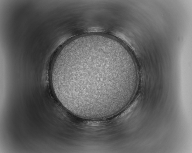 X0000095941211200801251103