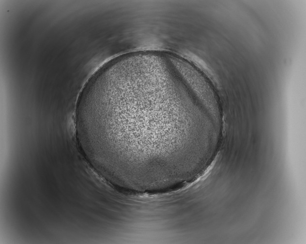 X0000095941212200801251103