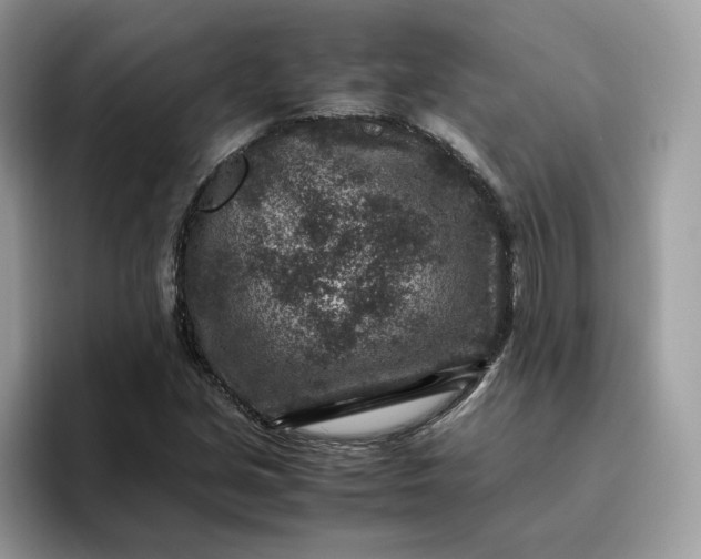 X0000095941213200801251103
