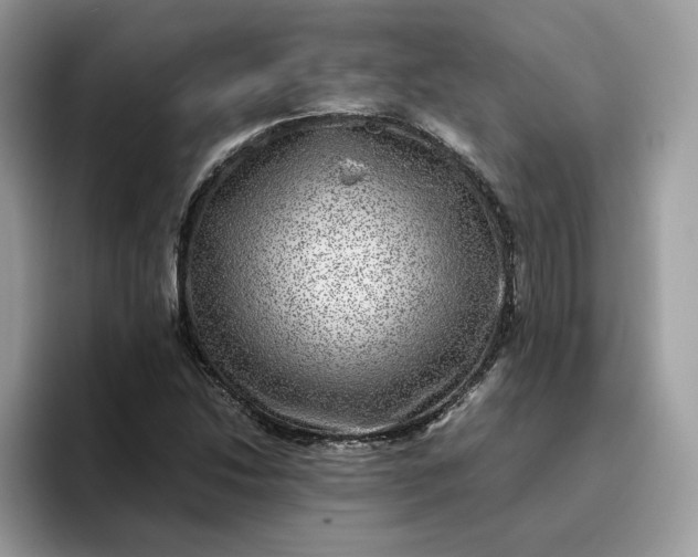 X0000095941214200801251103