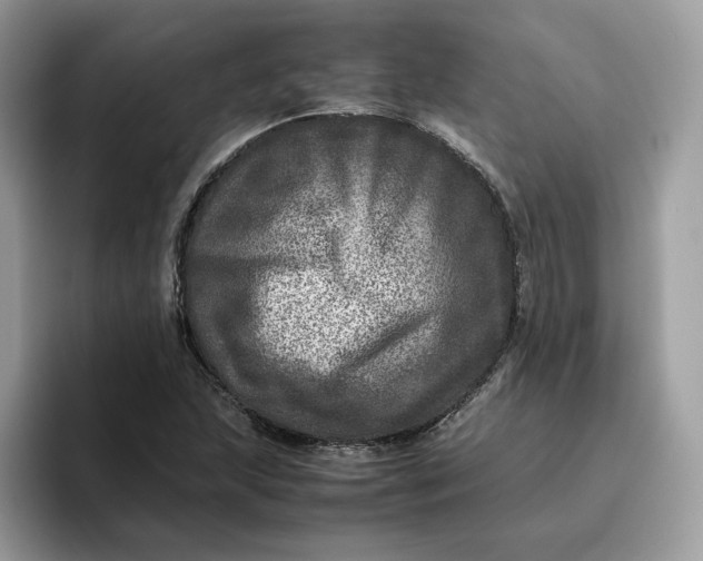 X0000095941215200801251103