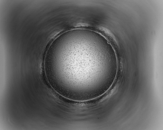 X0000095941217200801251103