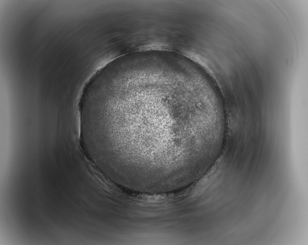 X0000095941219200801251103
