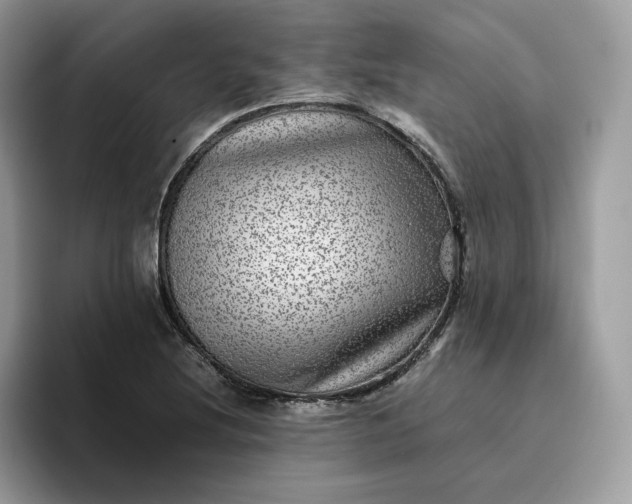 X0000095941220200801251103