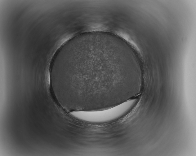 X0000095941221200801251103