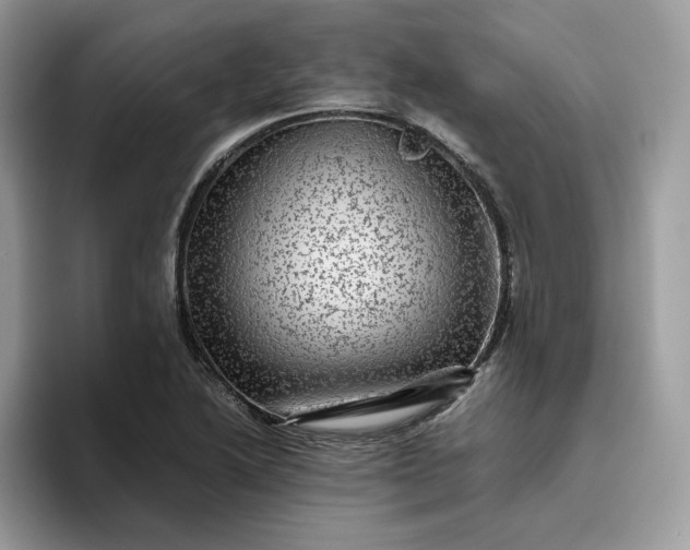 X0000095941222200801251103